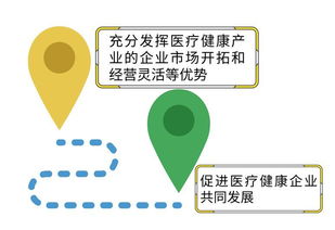 连横合纵 高淳区医疗健康产业联盟成立，推动技术创新与咨询服务升级